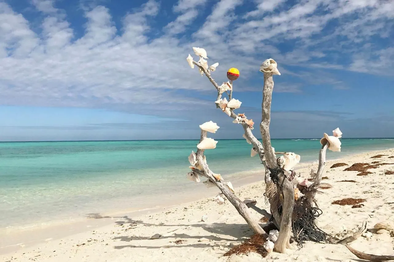 Leeward Isle