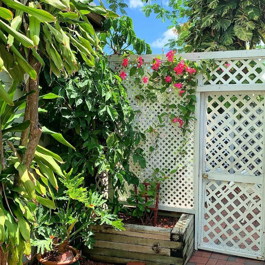 The Garden House Vendégház Key West